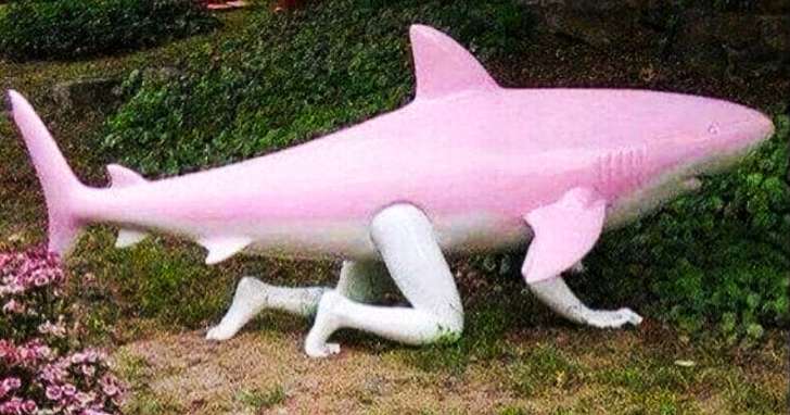 ▼水陆两栖粉红色大鲨鱼.